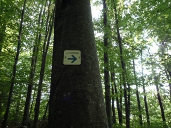 43BE9D4A-3CB2-11DF-89E0-9B3EB5C1E7CC