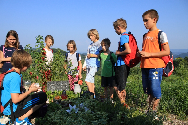 2E82E5FE-ED0D-11E1-AF7C-91B165B94067