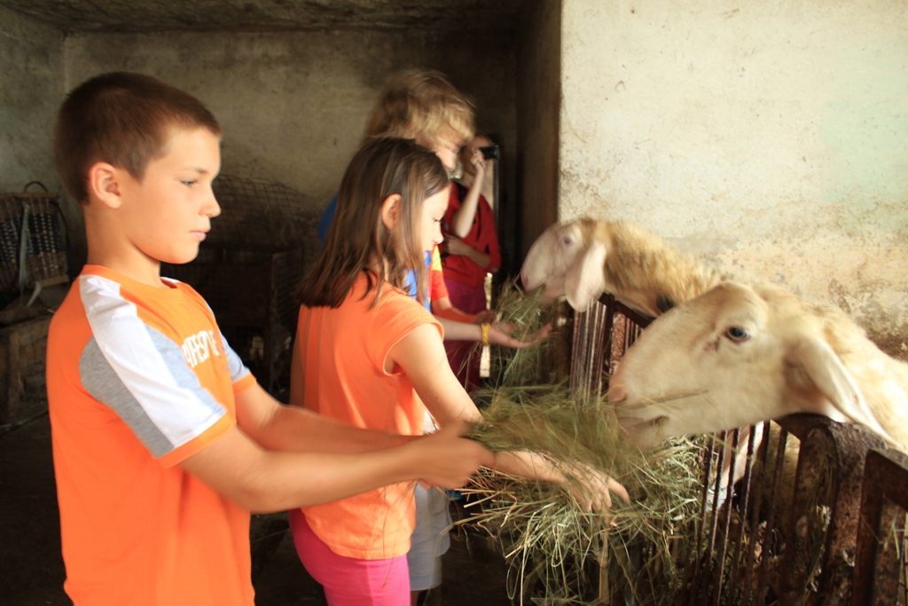 38E1CE26-EDCA-11E1-87F9-0E0966B94067