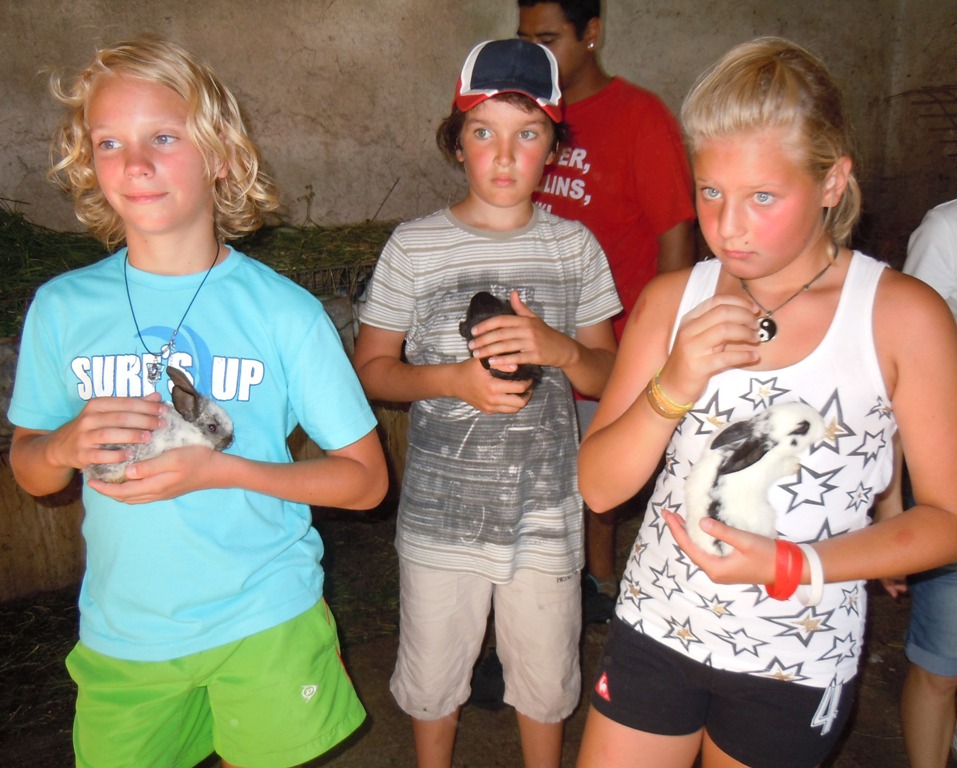 7794F6C4-ED0D-11E1-BD23-91B165B94067