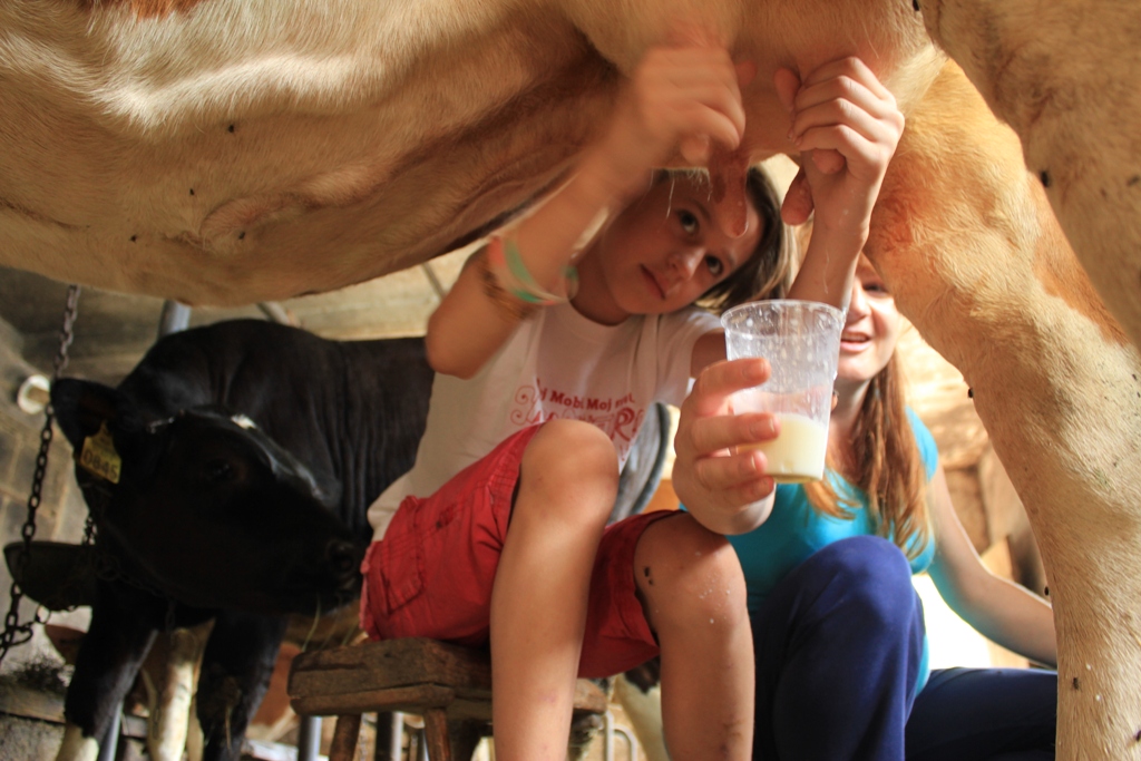 molza_krav4.jpg CD3548BA-EDC9-11E1-B565-0E0966B94067