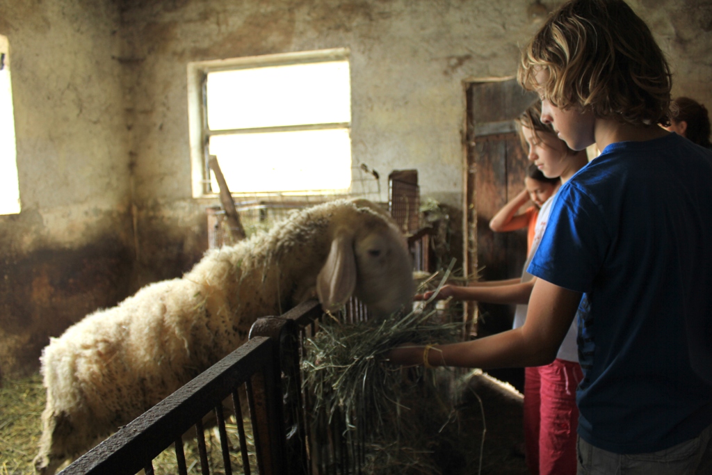 57D1AF26-ED0D-11E1-90F9-91B165B94067