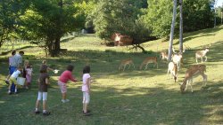 index_img